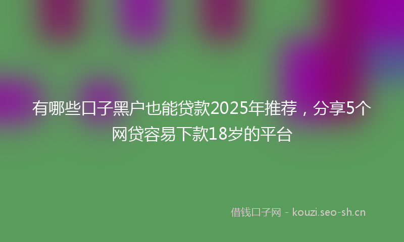 有哪些口子黑户也能贷款2025年推荐，分享5个网贷容易下款18岁的平台