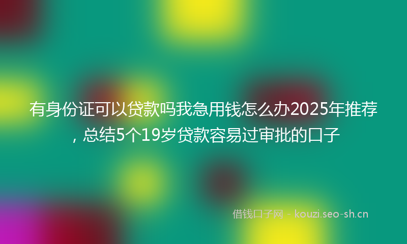 有身份证可以贷款吗我急用钱怎么办2025年推荐，总结5个19岁贷款容易过审批的口子