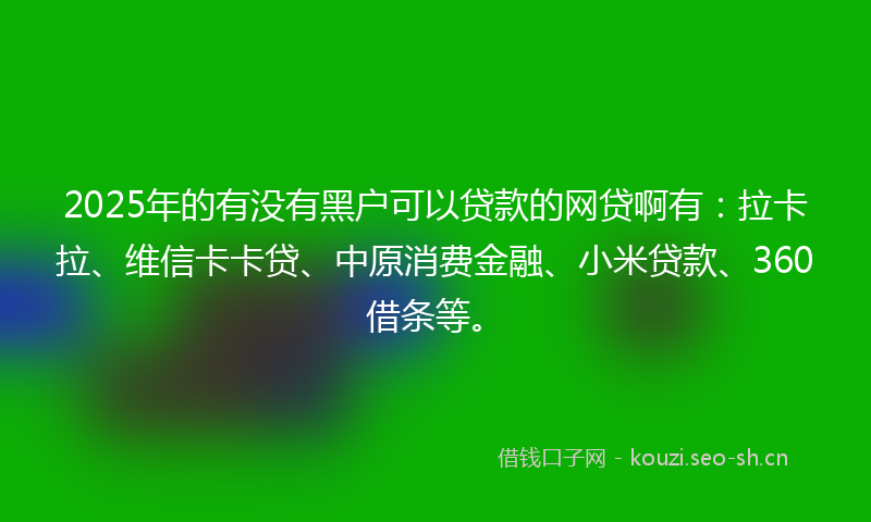 2025年的有没有黑户可以贷款的网贷啊有：拉卡拉、维信卡卡贷、中原消费金融、小米贷款、360借条等。