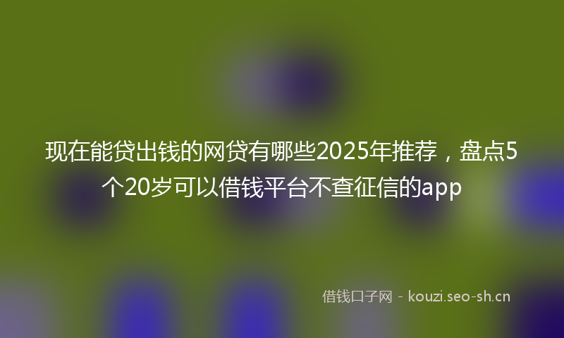 现在能贷出钱的网贷有哪些2025年推荐，盘点5个20岁可以借钱平台不查征信的app