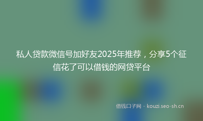 私人贷款微信号加好友2025年推荐，分享5个征信花了可以借钱的网贷平台