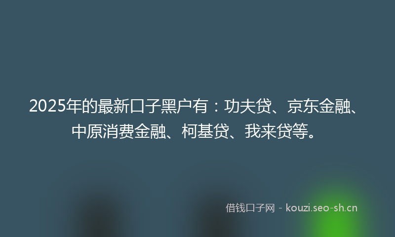 2025年的最新口子黑户有：功夫贷、京东金融、中原消费金融、柯基贷、我来贷等。