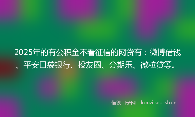2025年的有公积金不看征信的网贷有：微博借钱、平安口袋银行、投友圈、分期乐、微粒贷等。