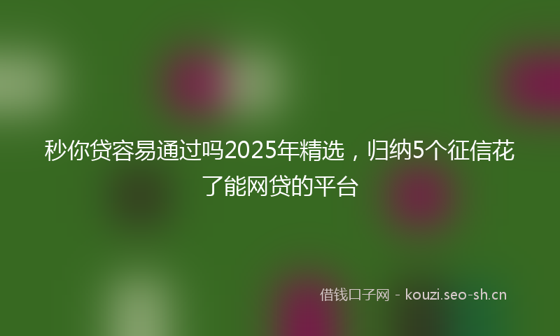 秒你贷容易通过吗2025年精选，归纳5个征信花了能网贷的平台