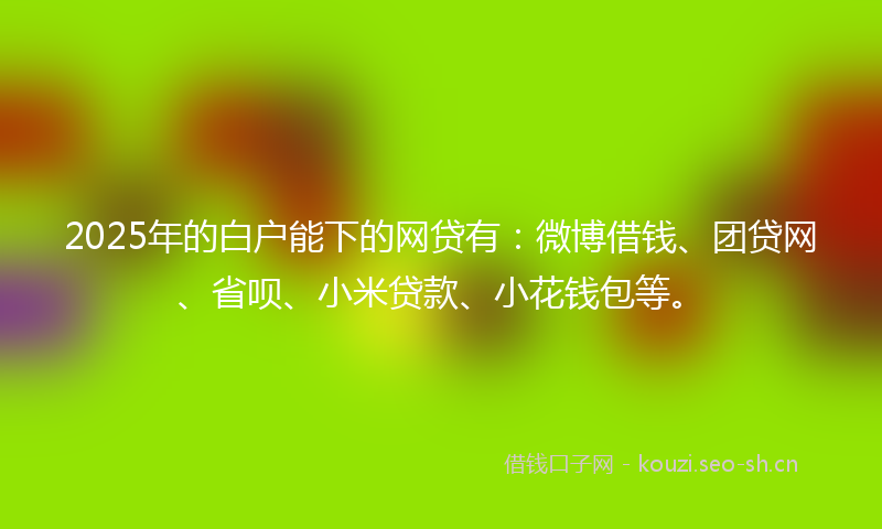 2025年的白户能下的网贷有：微博借钱、团贷网、省呗、小米贷款、小花钱包等。