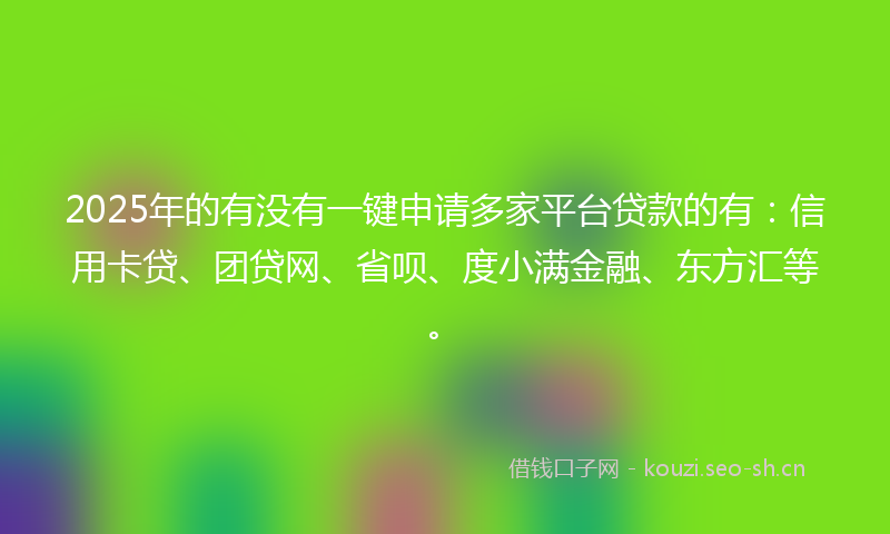 2025年的有没有一键申请多家平台贷款的有：信用卡贷、团贷网、省呗、度小满金融、东方汇等。