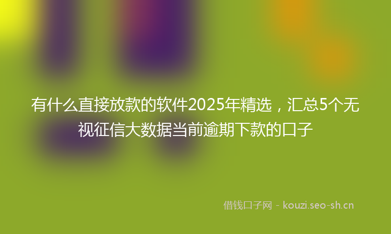 有什么直接放款的软件2025年精选，汇总5个无视征信大数据当前逾期下款的口子