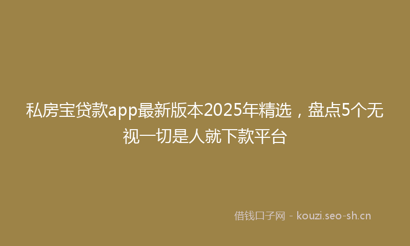 私房宝贷款app最新版本2025年精选，盘点5个无视一切是人就下款平台