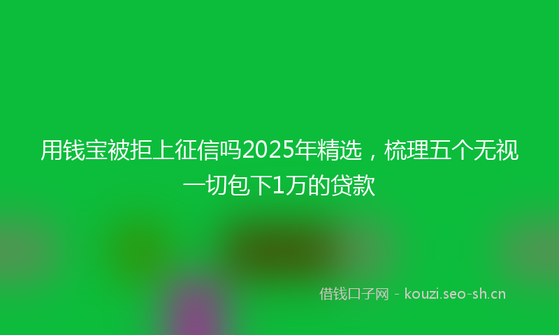 用钱宝被拒上征信吗2025年精选，梳理五个无视一切包下1万的贷款