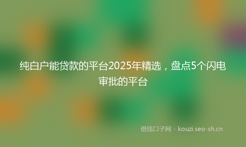 纯白户能贷款的平台2025年精选，盘点5个闪电审批的平台