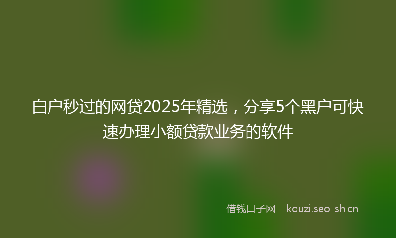 白户秒过的网贷2025年精选，分享5个黑户可快速办理小额贷款业务的软件