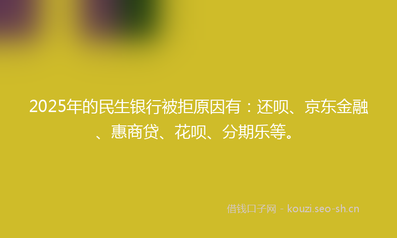 2025年的民生银行被拒原因有：还呗、京东金融、惠商贷、花呗、分期乐等。