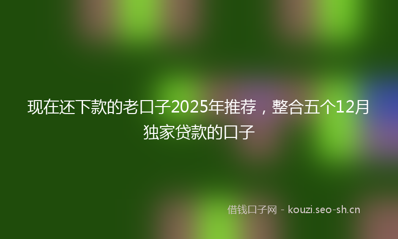 现在还下款的老口子2025年推荐，整合五个12月独家贷款的口子