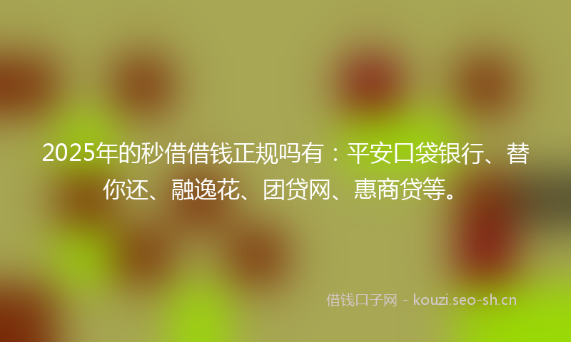 2025年的秒借借钱正规吗有：平安口袋银行、替你还、融逸花、团贷网、惠商贷等。