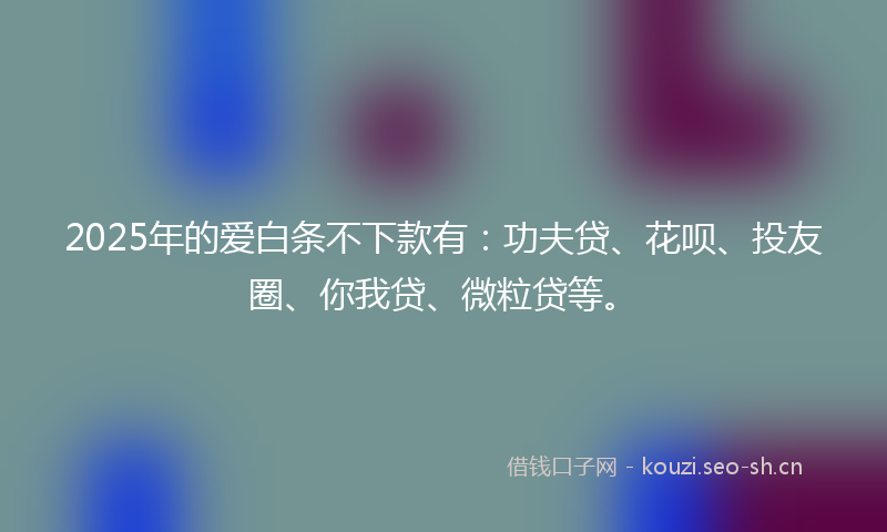 2025年的爱白条不下款有：功夫贷、花呗、投友圈、你我贷、微粒贷等。