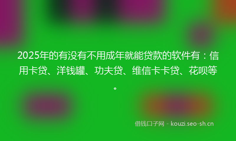 2025年的有没有不用成年就能贷款的软件有：信用卡贷、洋钱罐、功夫贷、维信卡卡贷、花呗等。