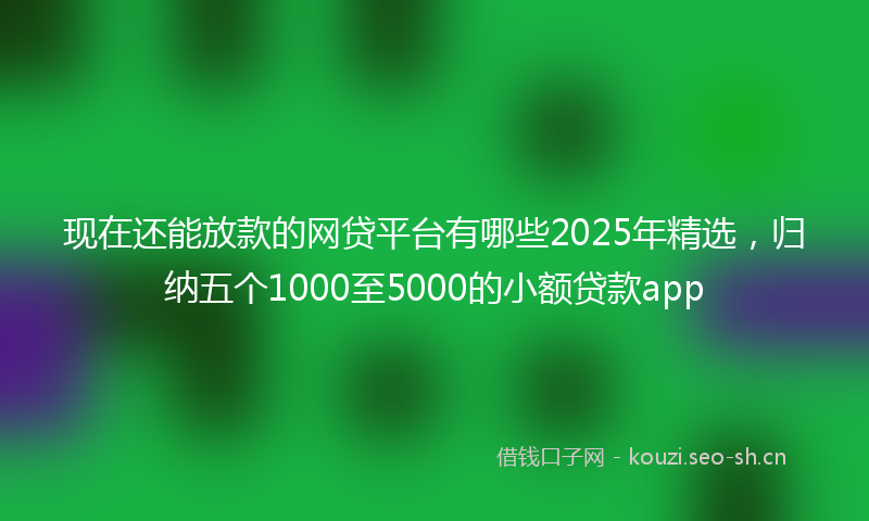 现在还能放款的网贷平台有哪些2025年精选，归纳五个1000至5000的小额贷款app