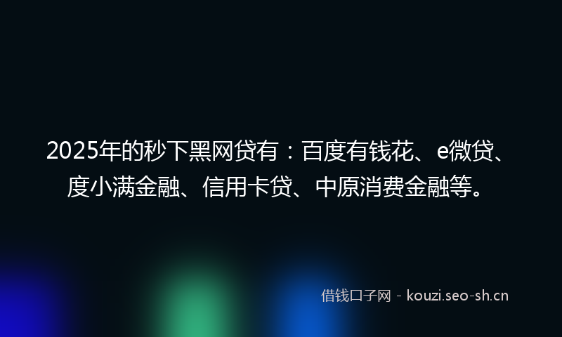 2025年的秒下黑网贷有：百度有钱花、e微贷、度小满金融、信用卡贷、中原消费金融等。