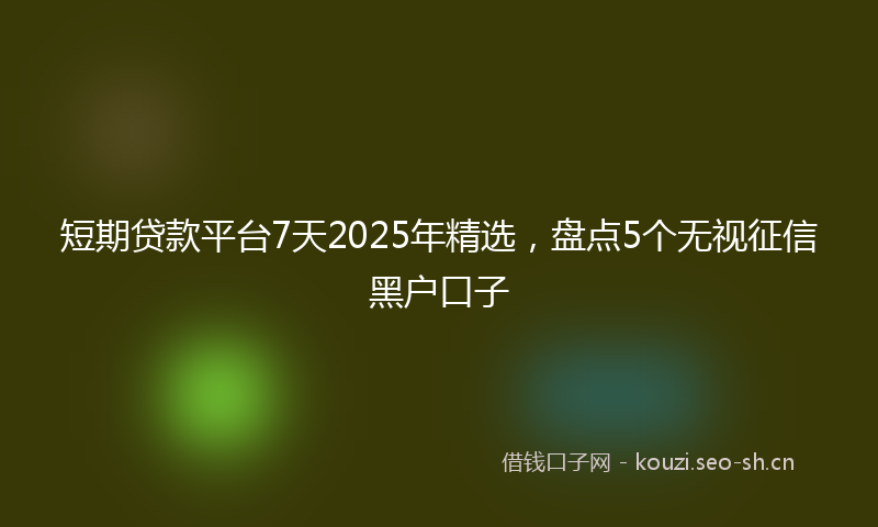 短期贷款平台7天2025年精选，盘点5个无视征信黑户口子