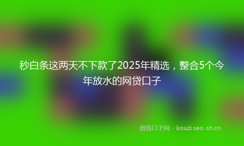 秒白条这两天不下款了2025年精选，整合5个今年放水的网贷口子