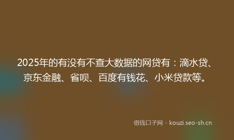 2025年的有没有不查大数据的网贷有：滴水贷、京东金融、省呗、百度有钱花、小米贷款等。