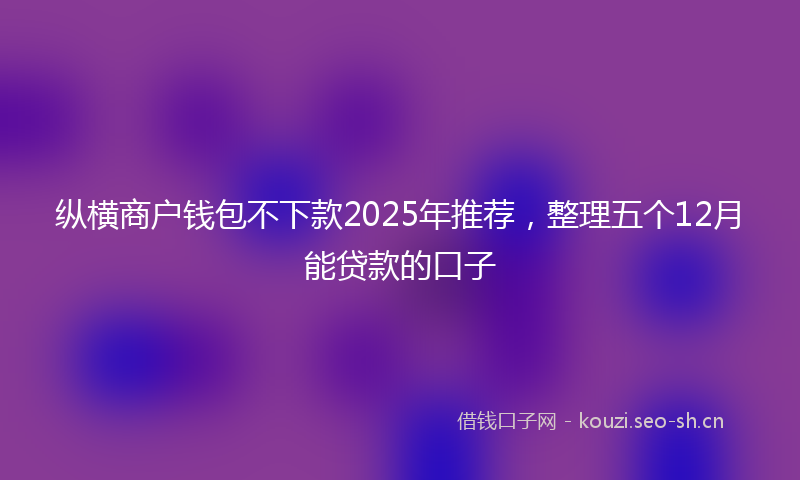 纵横商户钱包不下款2025年推荐，整理五个12月能贷款的口子
