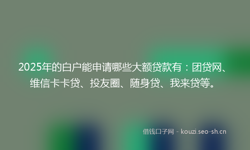 2025年的白户能申请哪些大额贷款有：团贷网、维信卡卡贷、投友圈、随身贷、我来贷等。
