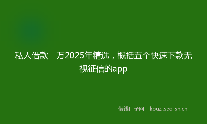 私人借款一万2025年精选，概括五个快速下款无视征信的app