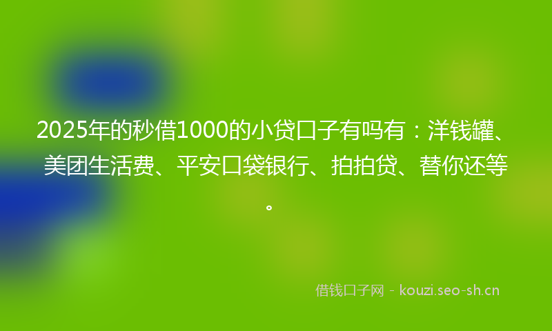 2025年的秒借1000的小贷口子有吗有：洋钱罐、美团生活费、平安口袋银行、拍拍贷、替你还等。