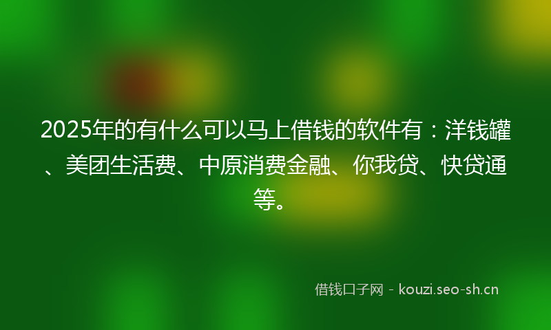 2025年的有什么可以马上借钱的软件有：洋钱罐、美团生活费、中原消费金融、你我贷、快贷通等。