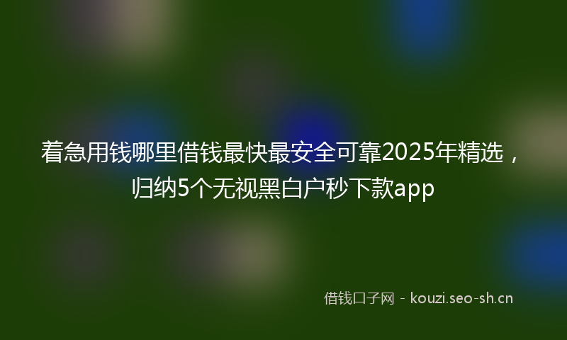 着急用钱哪里借钱最快最安全可靠2025年精选，归纳5个无视黑白户秒下款app