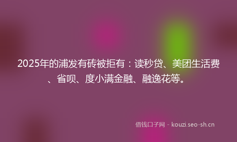 2025年的浦发有砖被拒有：读秒贷、美团生活费、省呗、度小满金融、融逸花等。