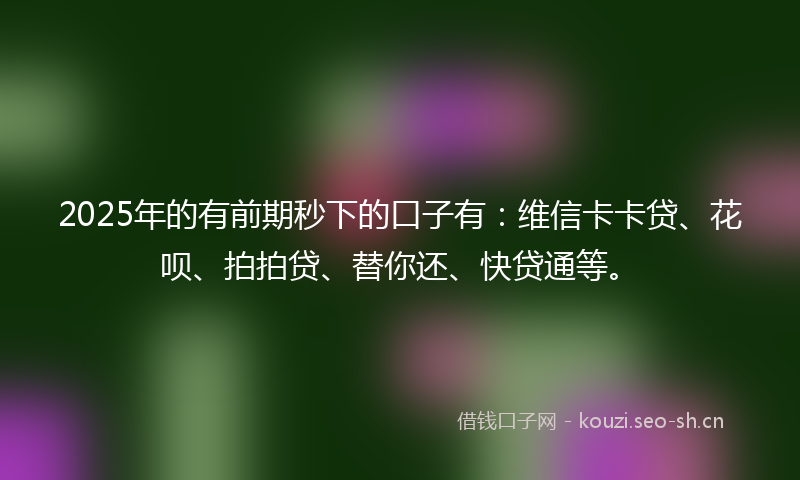 2025年的有前期秒下的口子有：维信卡卡贷、花呗、拍拍贷、替你还、快贷通等。