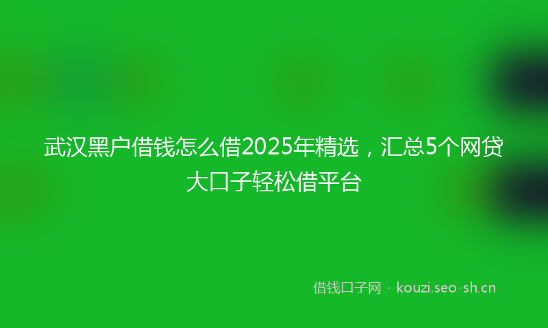 武汉黑户借钱怎么借2025年精选，汇总5个网贷大口子轻松借平台