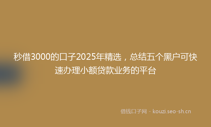 秒借3000的口子2025年精选，总结五个黑户可快速办理小额贷款业务的平台