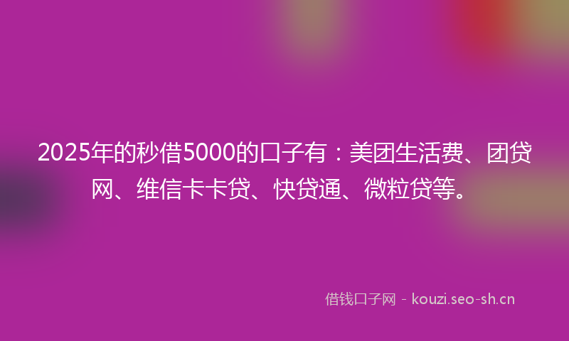 2025年的秒借5000的口子有：美团生活费、团贷网、维信卡卡贷、快贷通、微粒贷等。