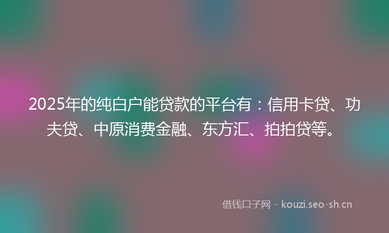 2025年的纯白户能贷款的平台有：信用卡贷、功夫贷、中原消费金融、东方汇、拍拍贷等。