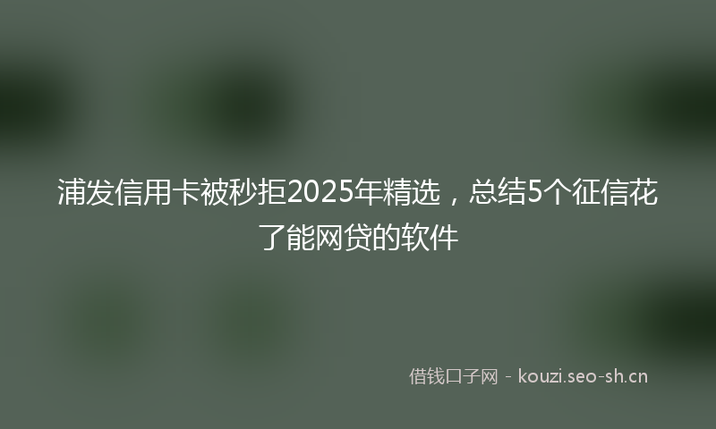 浦发信用卡被秒拒2025年精选，总结5个征信花了能网贷的软件