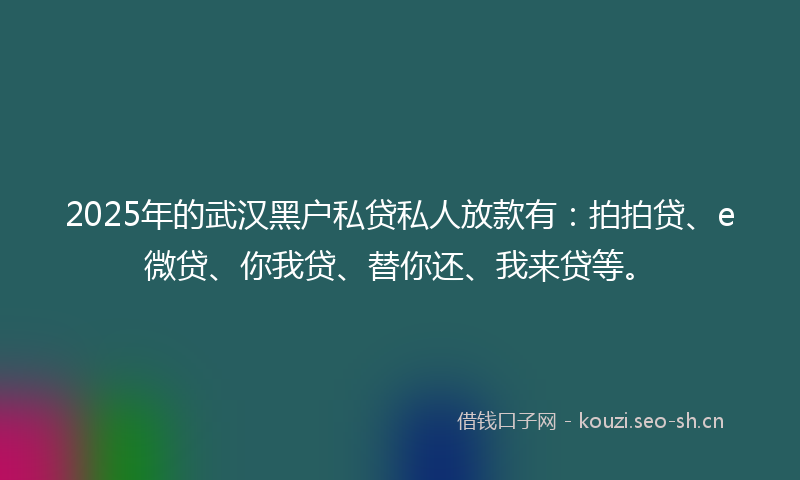 2025年的武汉黑户私贷私人放款有：拍拍贷、e微贷、你我贷、替你还、我来贷等。
