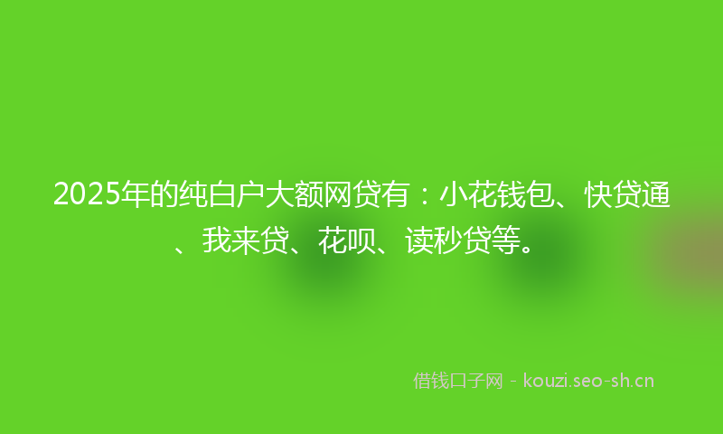 2025年的纯白户大额网贷有：小花钱包、快贷通、我来贷、花呗、读秒贷等。