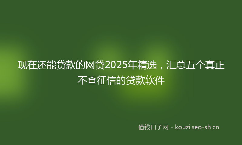 现在还能贷款的网贷2025年精选，汇总五个真正不查征信的贷款软件