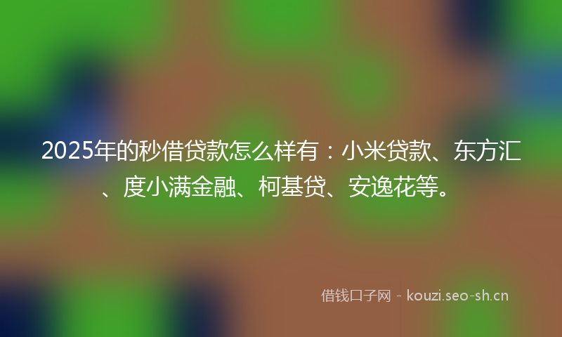 2025年的秒借贷款怎么样有：小米贷款、东方汇、度小满金融、柯基贷、安逸花等。