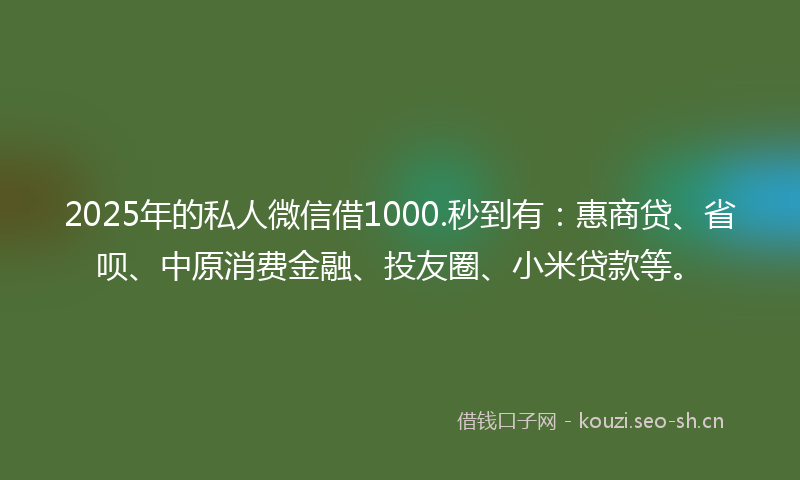 2025年的私人微信借1000.秒到有：惠商贷、省呗、中原消费金融、投友圈、小米贷款等。