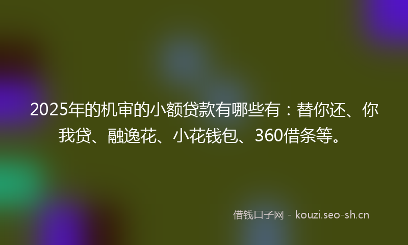 2025年的机审的小额贷款有哪些有：替你还、你我贷、融逸花、小花钱包、360借条等。