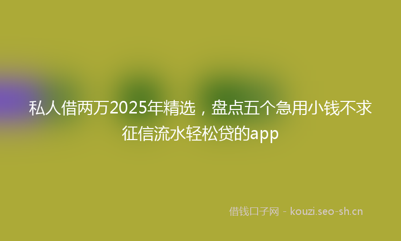 私人借两万2025年精选,盘点五个急用小钱不求征信流水轻松贷的app