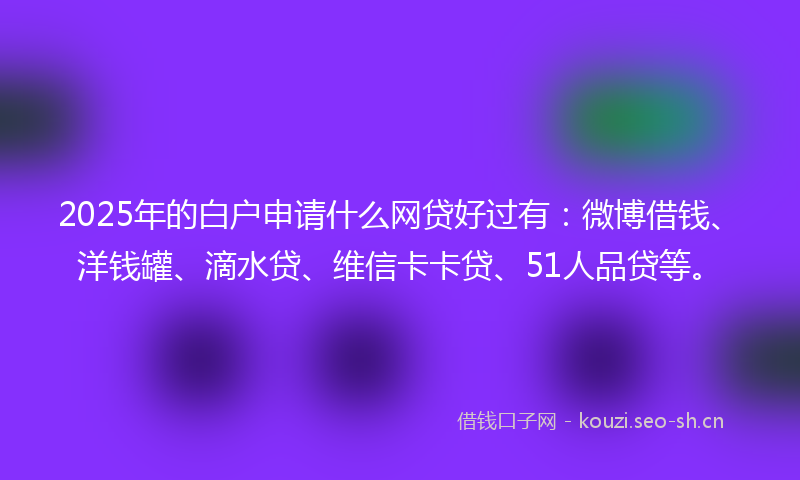 2025年的白户申请什么网贷好过有：微博借钱、洋钱罐、滴水贷、维信卡卡贷、51人品贷等。