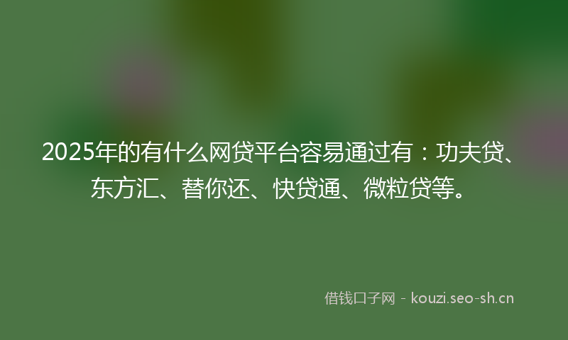 2025年的有什么网贷平台容易通过有：功夫贷、东方汇、替你还、快贷通、微粒贷等。