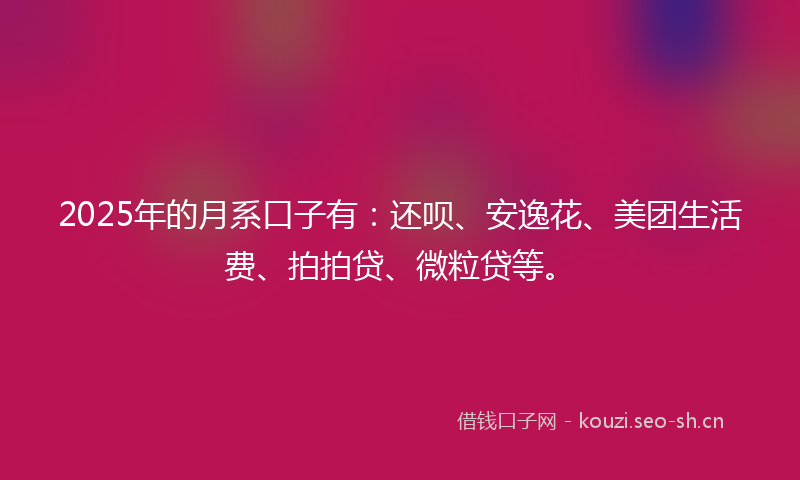 2025年的月系口子有：还呗、安逸花、美团生活费、拍拍贷、微粒贷等。