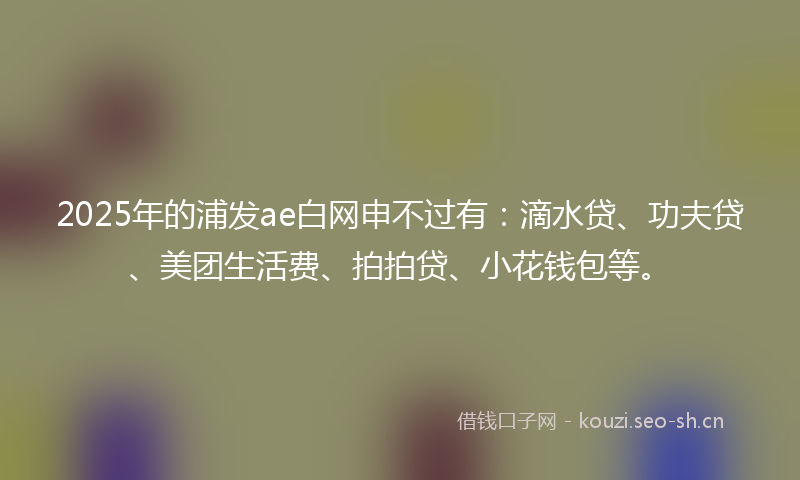 2025年的浦发ae白网申不过有：滴水贷、功夫贷、美团生活费、拍拍贷、小花钱包等。