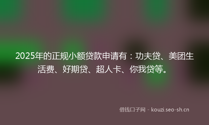 2025年的正规小额贷款申请有：功夫贷、美团生活费、好期贷、超人卡、你我贷等。